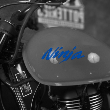 Наклейка Kawasaki Ninja
