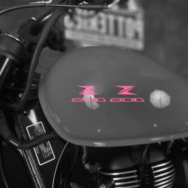 Наклейка Kawasaki Z 800 на мотоцикл