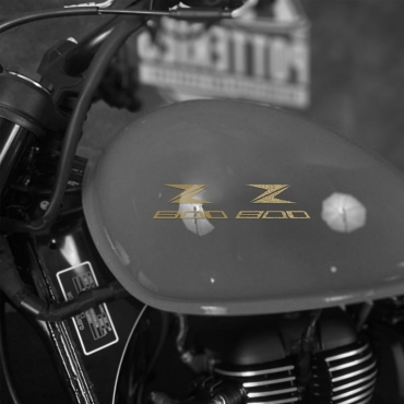 Наклейка Kawasaki Z 800 на мотоцикл