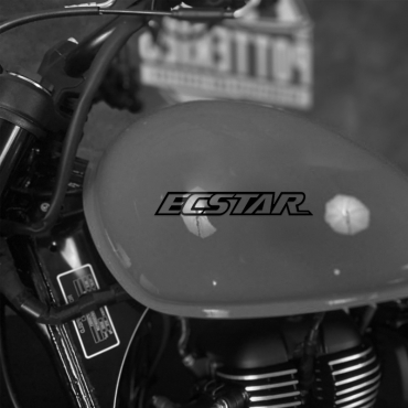 Наклейка на мотоцикл Suzuki ECSTAR