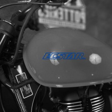 Наклейка на мотоцикл Suzuki ECSTAR