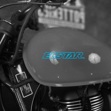 Наклейка на мотоцикл Suzuki ECSTAR