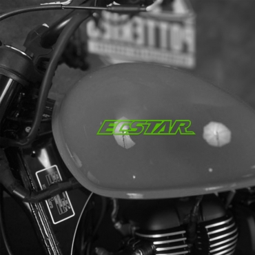Наклейка на мотоцикл Suzuki ECSTAR