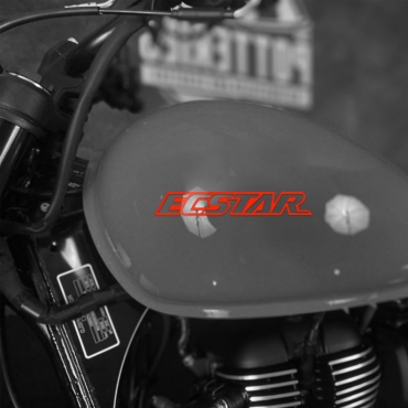 Наклейка на мотоцикл Suzuki ECSTAR