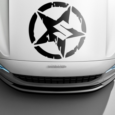 Наклейка PUNISHER SUZUKI