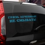 Наклейка грязь лечебная! не смывать!