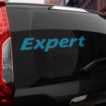 Наклейка Peugeot Expert