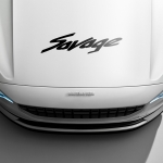 Наклейка Suzuki Savage
